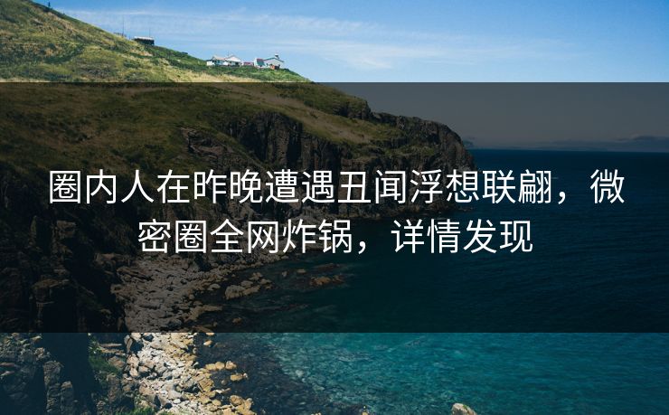 圈内人在昨晚遭遇丑闻浮想联翩，微密圈全网炸锅，详情发现